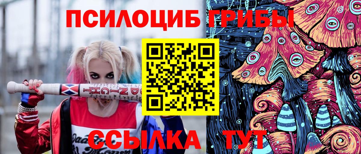 Галлюциногенные грибы Cubensis  Вход с VPN  Десногорск  где купить   Галлюциногенные грибы MAGIC MUSHROOMS 